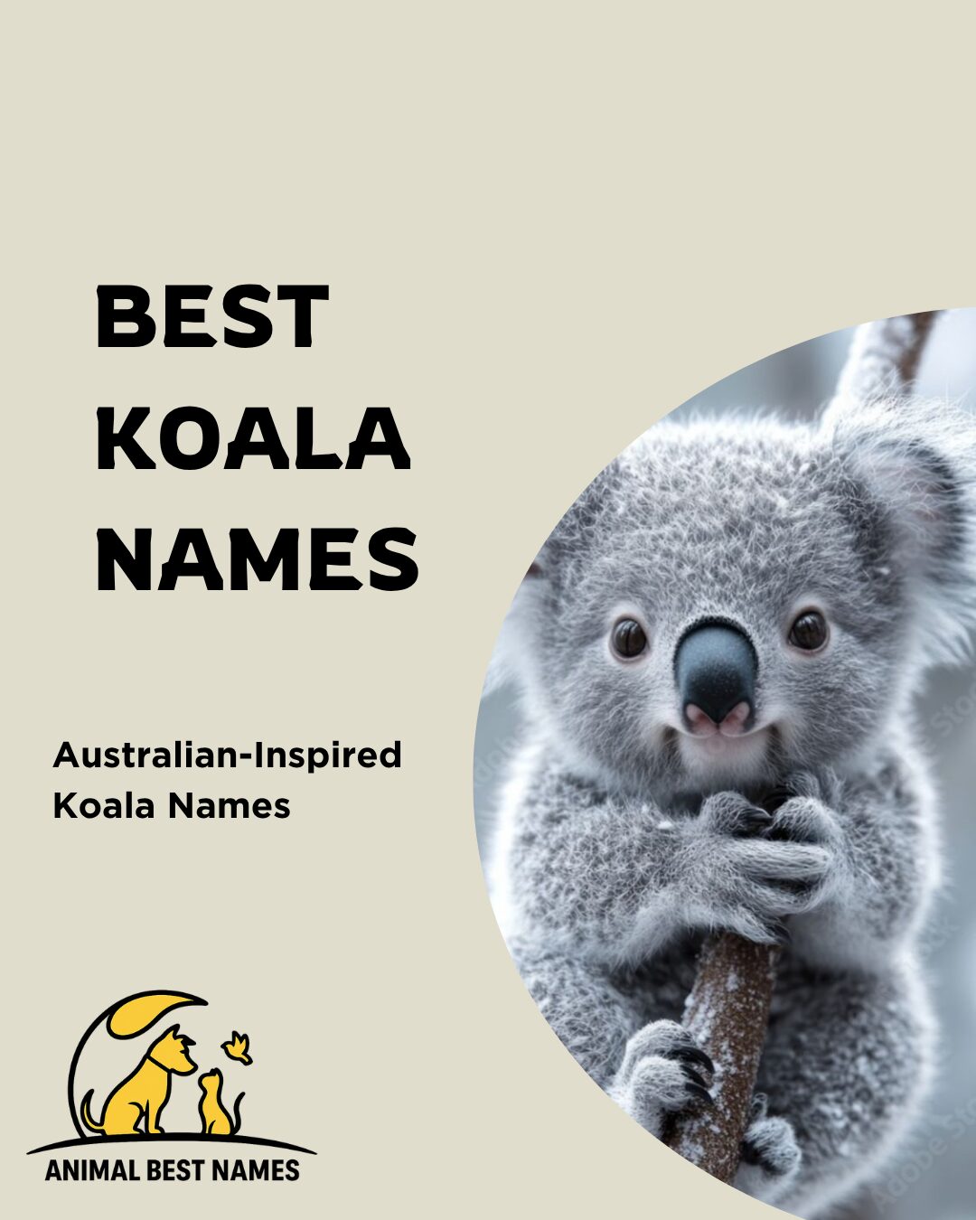 A cute and charming koala sitting on a leafy branch, perfect for inspiring the best and most unique names for koalas or pets.