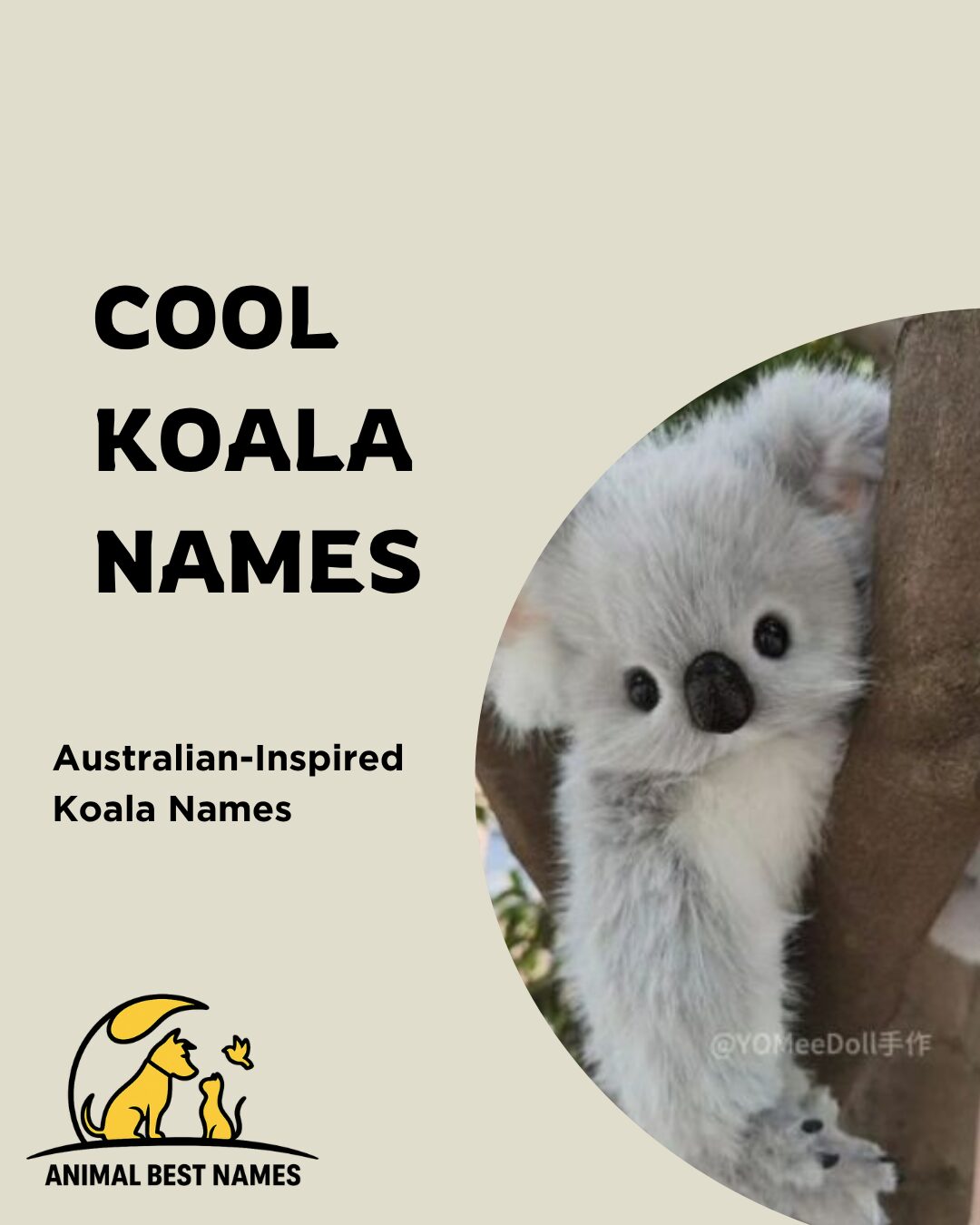 A stylish and relaxed koala lounging on a tree branch, perfect for inspiring cool and trendy names for koalas or pets.