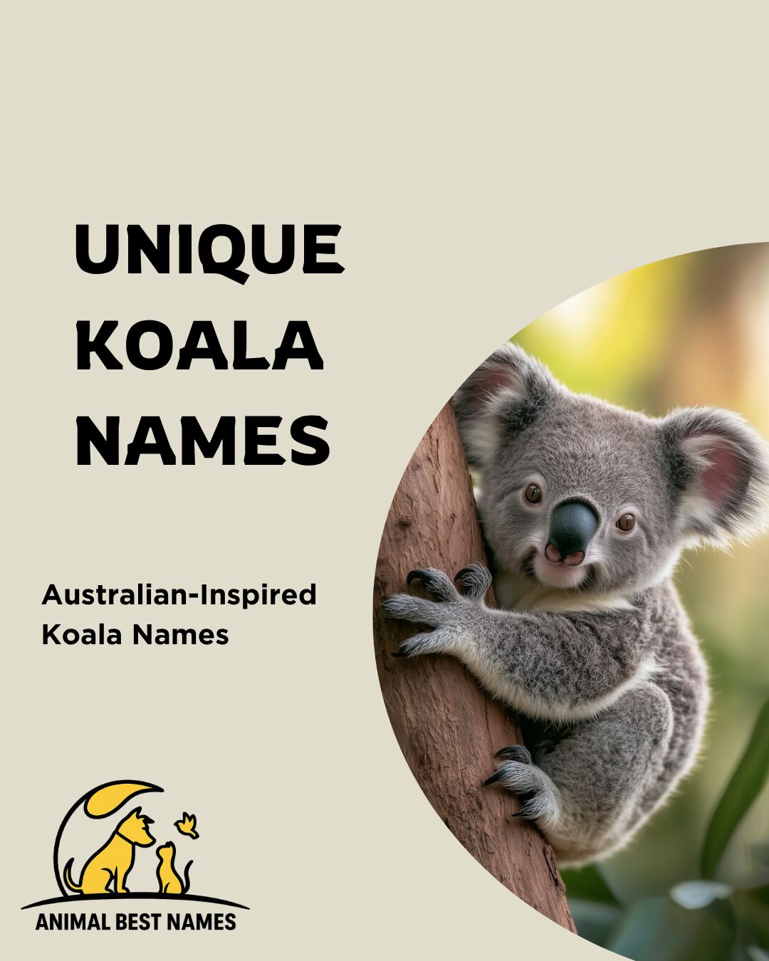 A rare and charming koala sitting calmly on a tree branch, perfect for inspiring unique and special names for koalas or pets.