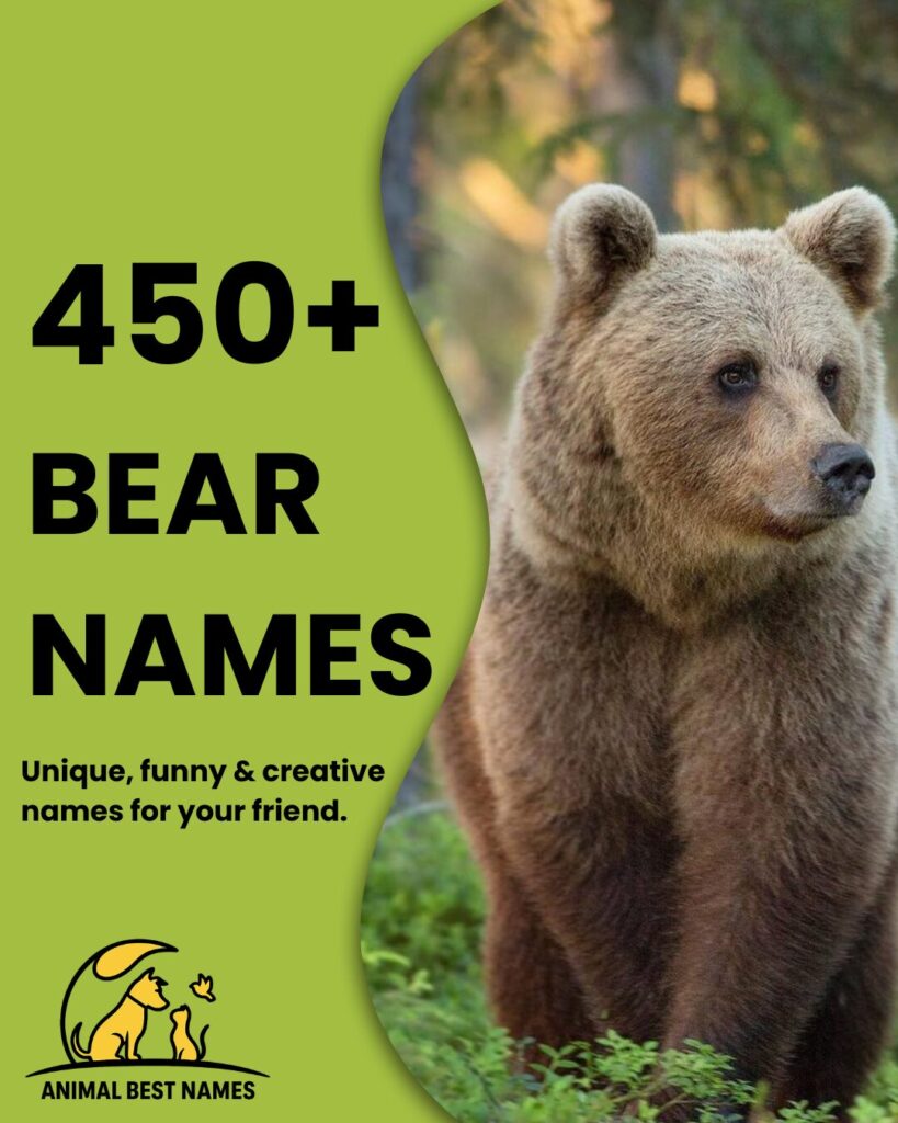 A majestic and strong bear featured on the homepage, capturing attention and representing the website’s theme while engaging visitors.