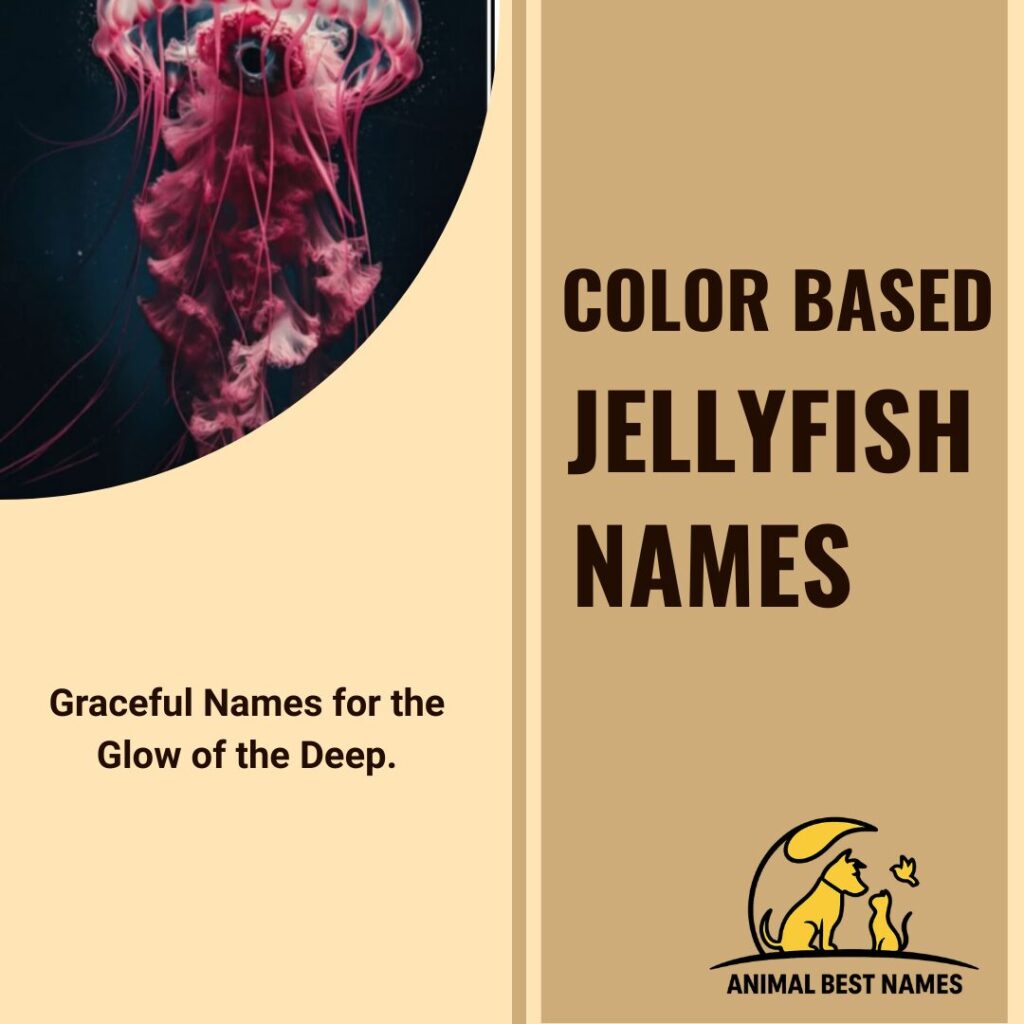 A vibrant and colorful jellyfish drifting gracefully in the ocean, perfect for inspiring color-based and creative names for jellyfish or pets.