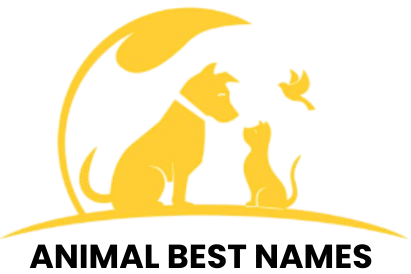animalbestnames.com