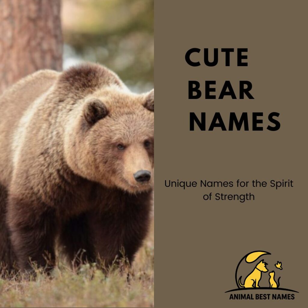 A fluffy and adorable bear sitting in a forest, perfect for inspiring cute and charming names for bears or pets.