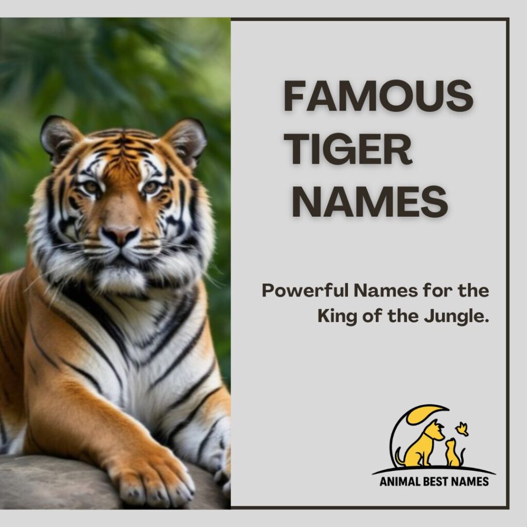 A majestic and well-known tiger in the jungle, perfect for inspiring famous and iconic names for tigers or pets.
