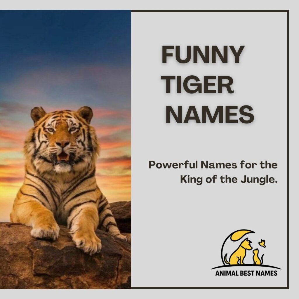 A playful and amusing tiger making a funny expression in the jungle, perfect for inspiring humorous and creative names for tigers or pets.