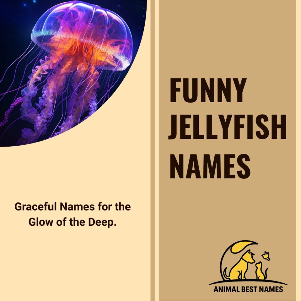 A colorful and funny jellyfish floating gracefully in the ocean, perfect for inspiring funny and creative names for jellyfish or pets.