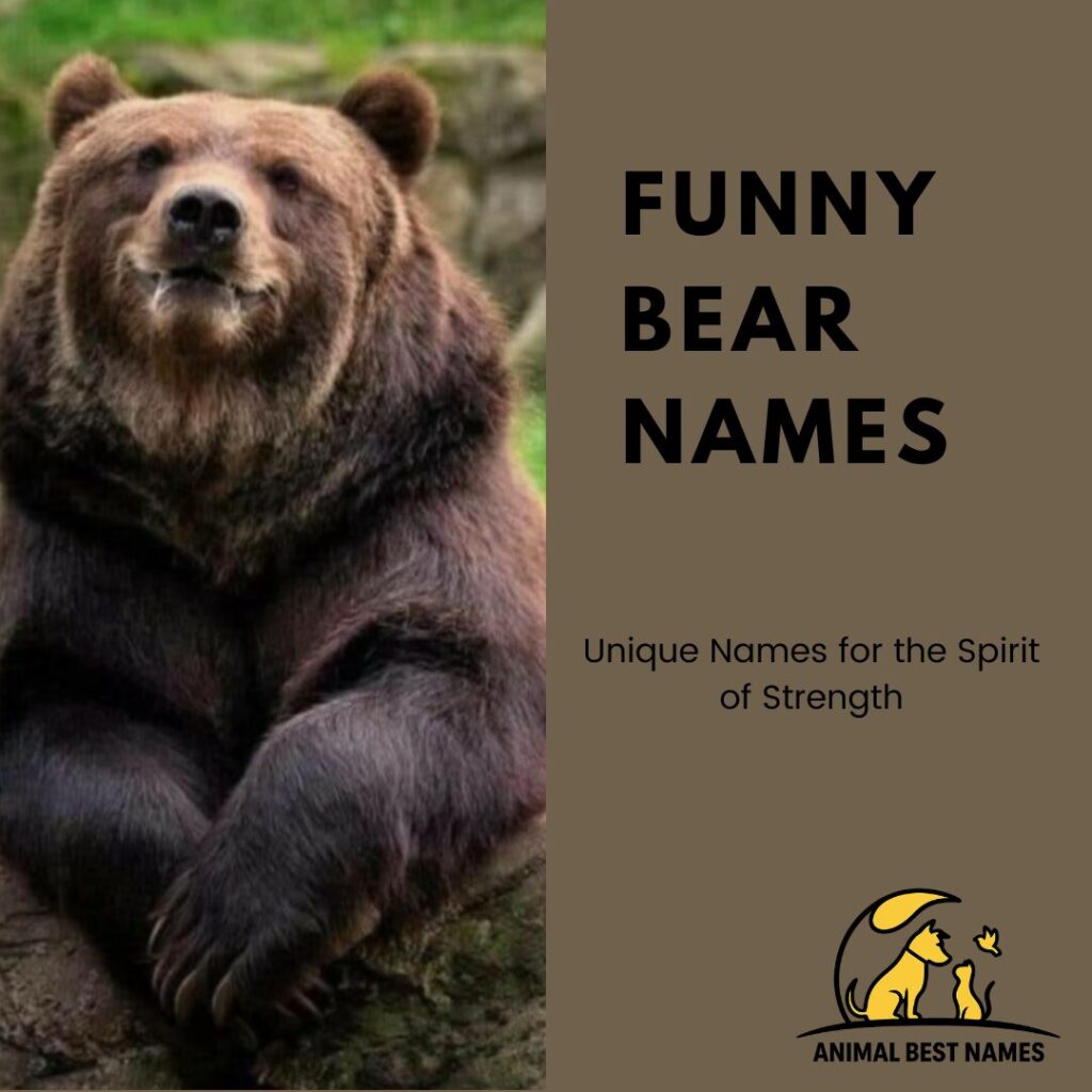 A playful and amusing bear making a funny pose in the forest, perfect for inspiring humorous and creative names for bears or pets.