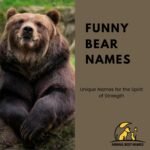 450+ Cool, Catchy & Best Bear Names [Ultimate List] - Animal Best Names
