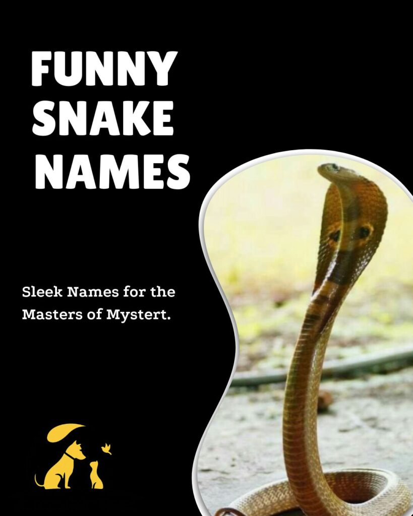 A playful and quirky snake with bright patterns, perfect for inspiring funny and creative names for snakes or pets.