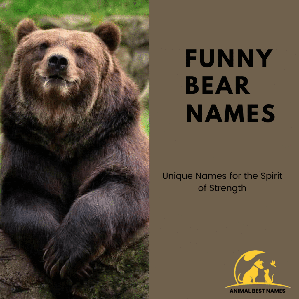 450+ Cool and Catchy Bear Names [Ultimate List]