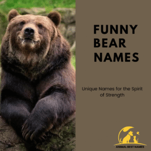 450+ Cool and Catchy Bear Names [Ultimate List]