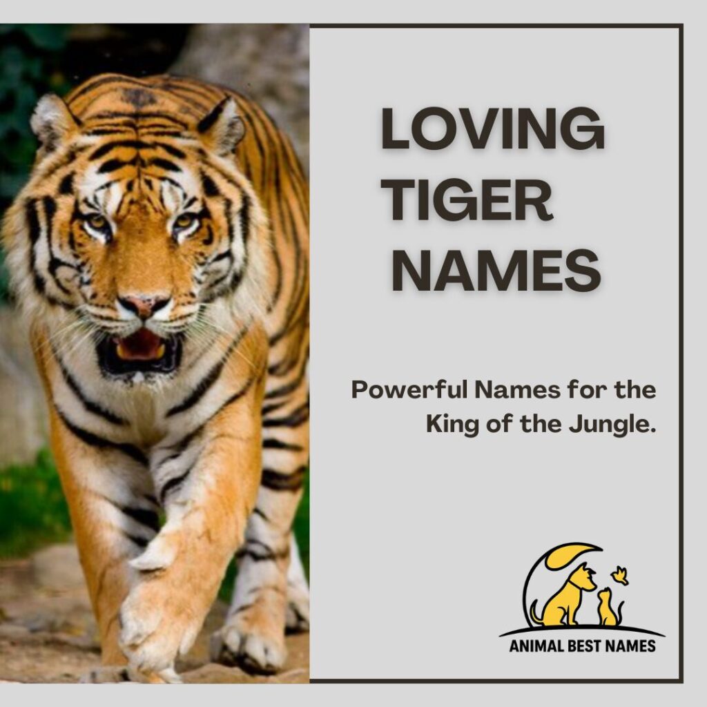 A gentle and affectionate tiger resting calmly in the grass, perfect for inspiring loving and caring names for tigers or pets.