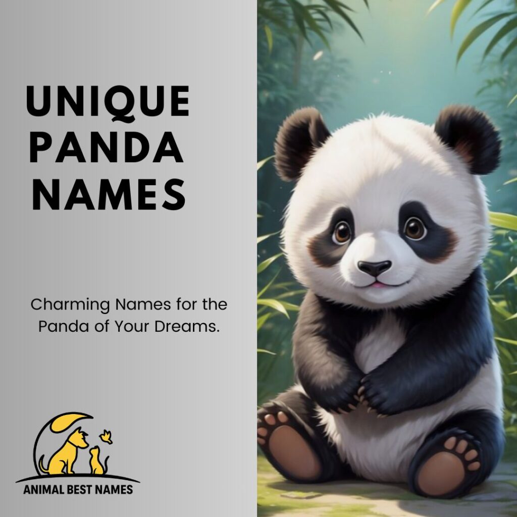 A rare and adorable, and unique panda sitting amidst bamboo, perfect for inspiring unique and one-of-a-kind names for pandas or pets.