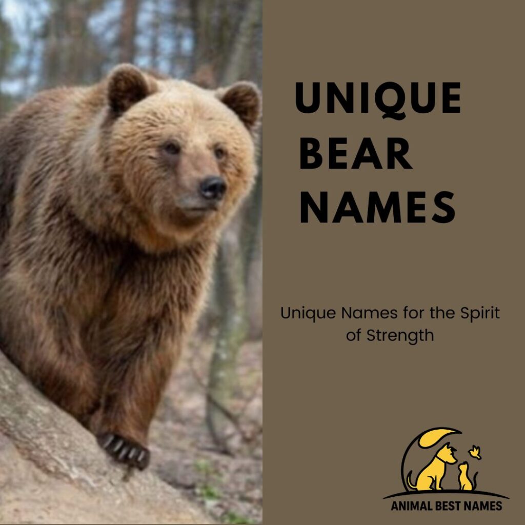 A rare and striking bear in its natural forest habitat, perfect for inspiring unique and one-of-a-kind names for bears or pets.