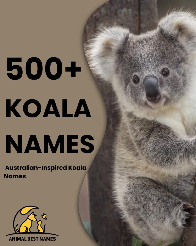 Cute koala sitting on a tree branch — symbol of calm nature and inspiration for animal name ideas