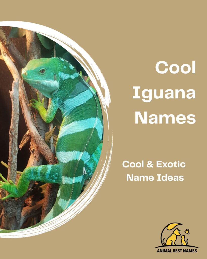 Cool iguana names highlighting trendy and unique name ideas