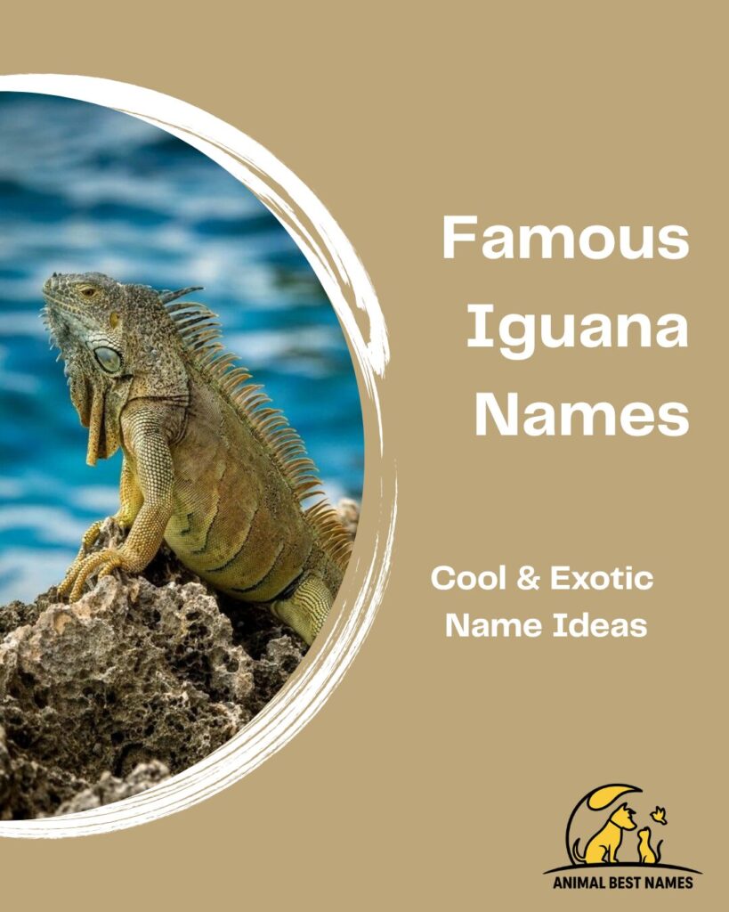 Famous iguana names highlighting well-known and popular name choices.