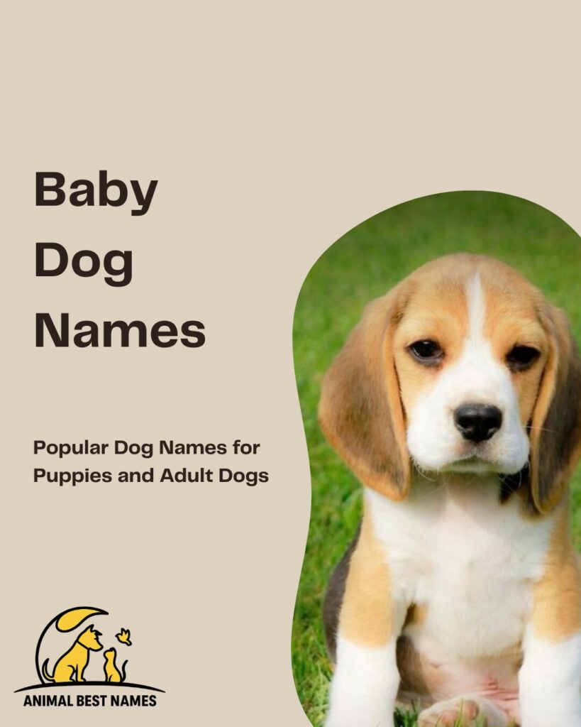 Charming baby dog names that highlight cuteness and playful innocence.