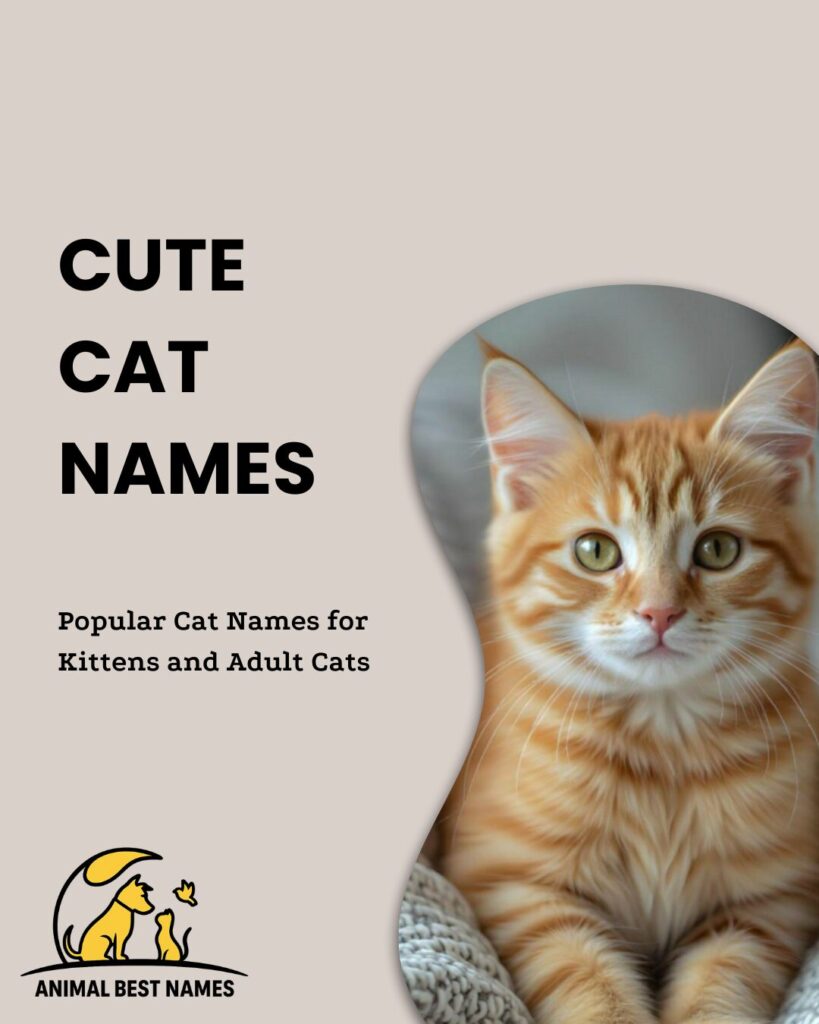 Cute cat names that highlight charm, sweetness, and endearing personality."