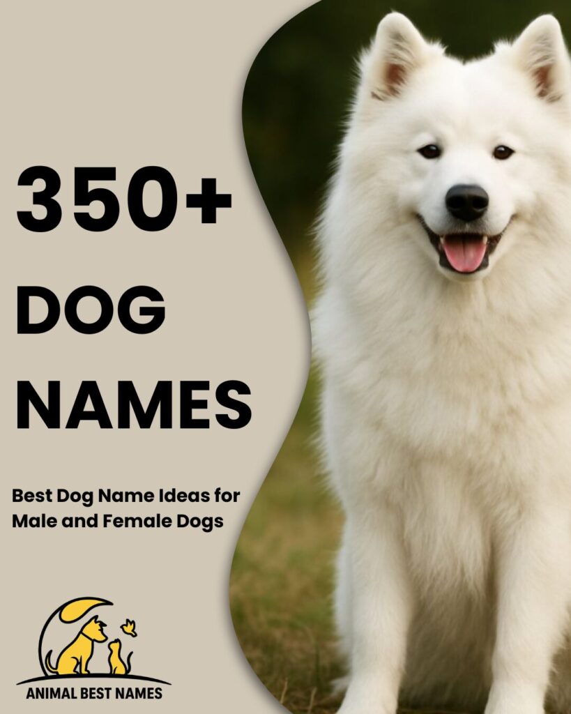 Dog names image showing different dogs with expressive faces, playful poses, and unique appearances.