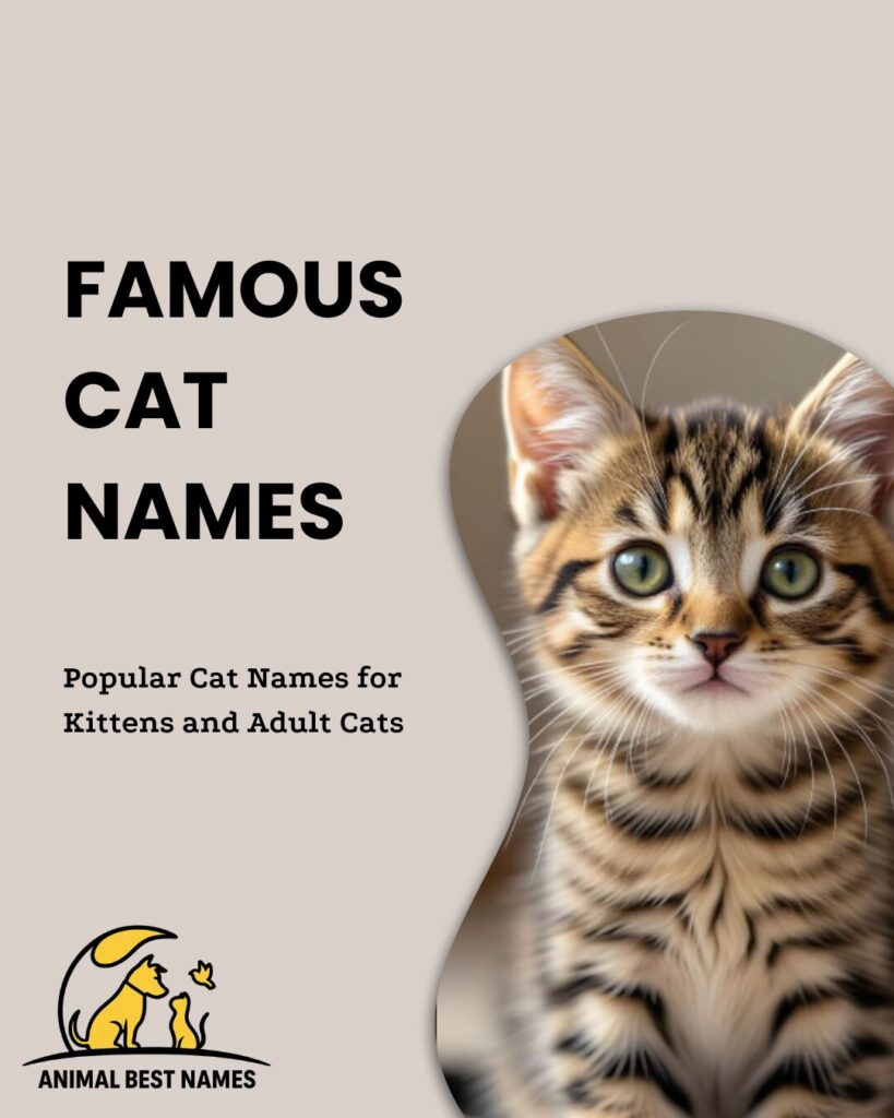 Famous cat names inspired by iconic felines and beloved characters in pop culture.