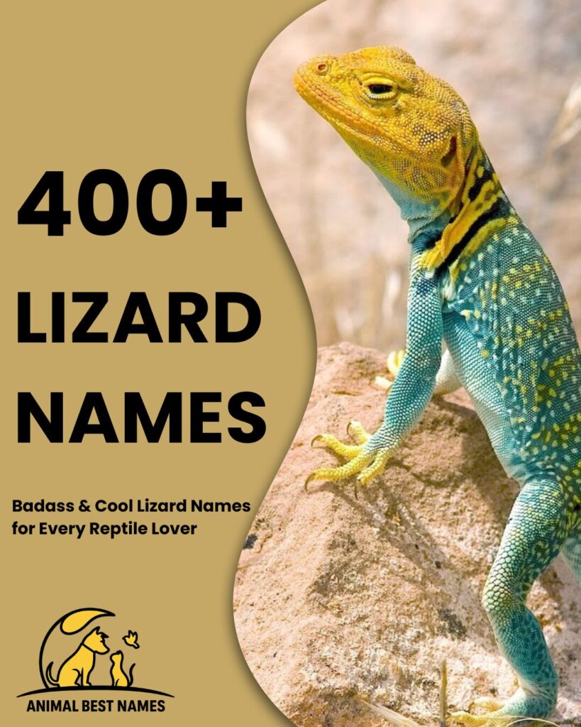 Lizard names image showing lizards with vibrant colors, unique patterns, and distinctive poses.