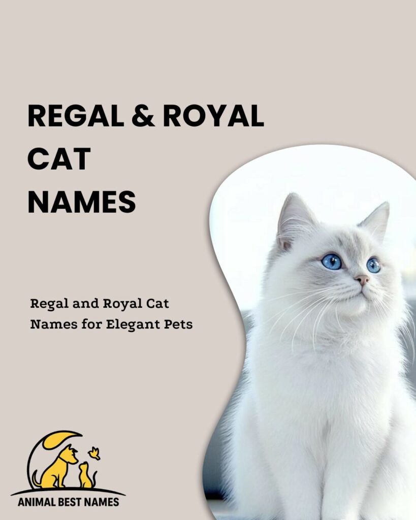 Regal and royal cat names that convey elegance and nobility.