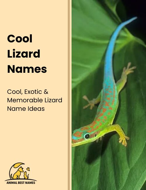 Cool lizard names that convey style, charisma, and uniqueness.
