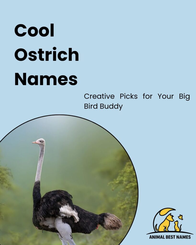 Cool ostrich names offering trendy and stylish name ideas for ostriches.