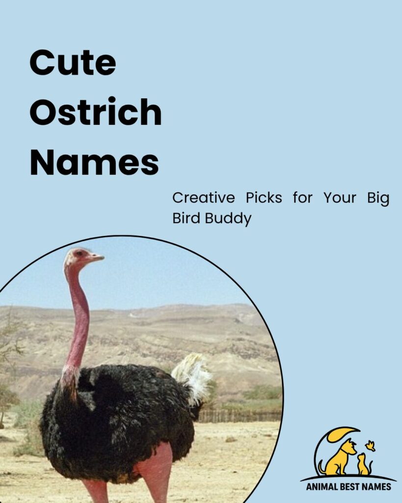 Cute ostrich names highlighting adorable and endearing name options for ostriches.