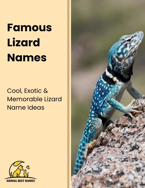 Famous lizard names inspired by well-known lizards and iconic reptilian characters.