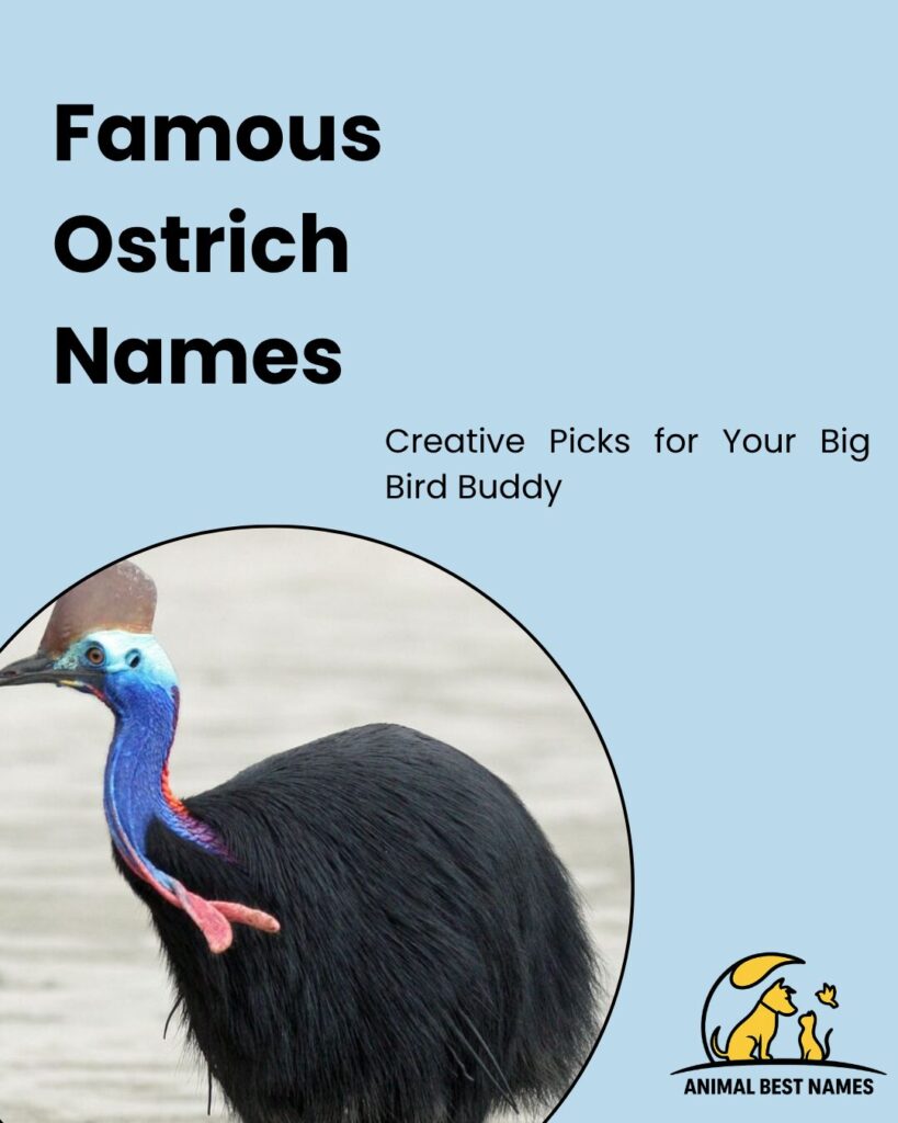 Famous ostrich names highlighting well-known and iconic names for ostriches.