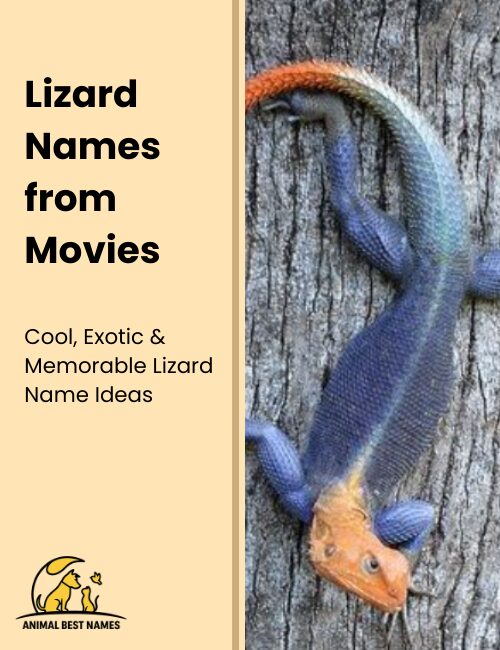 Lizard names inspired by famous movie characters and iconic film creatures.