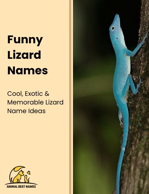 Funny lizard names that bring humor and whimsy to your lizard’s personality.