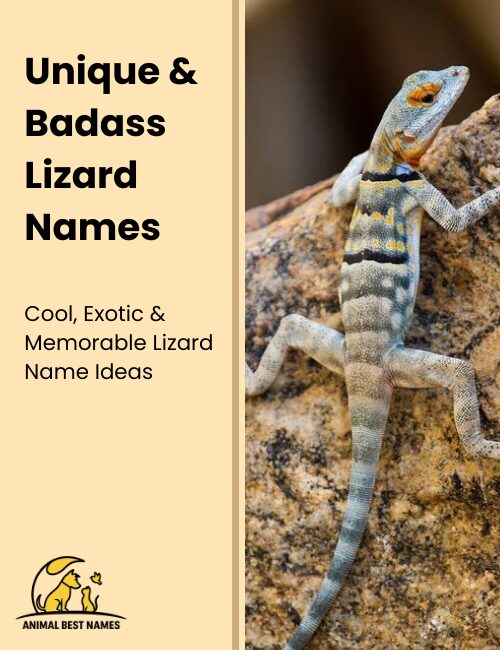Unique and badass lizard names that convey strength and individuality.