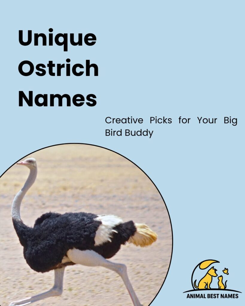 Unique ostrich names showcasing distinctive and one-of-a-kind name options for ostriches.