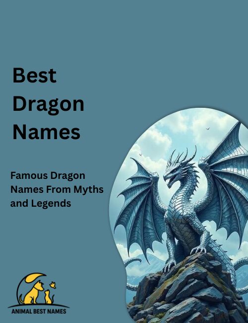 Majestic dragon with large wings and detailed scales, standing proudly beside a clean layout displaying a collection of dragon names.