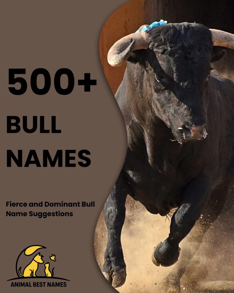 Bold bull-themed homepage layout with a strong bull illustration in the banner and neatly arranged name sections below.