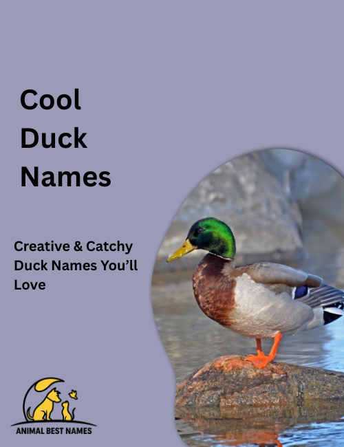 Cool duck names image showcasing ducks with stylish poses, confident demeanor, and elegant features.