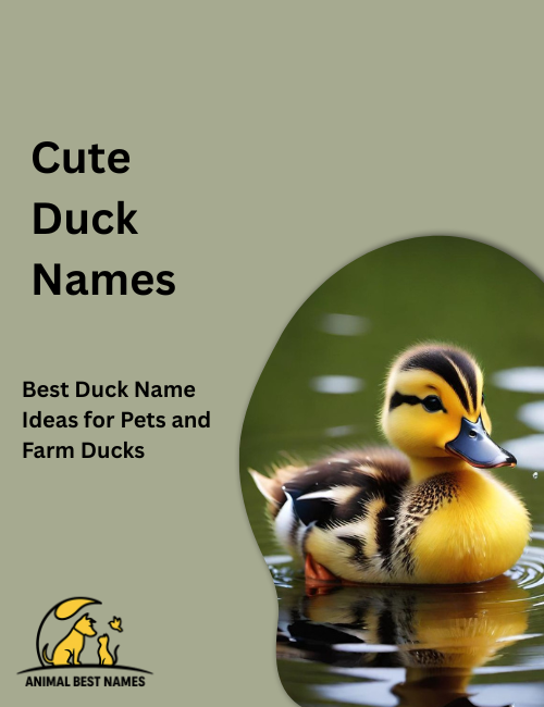 Cute duck names image showcasing ducks with adorable expressions, fluffy feathers, and charming poses.