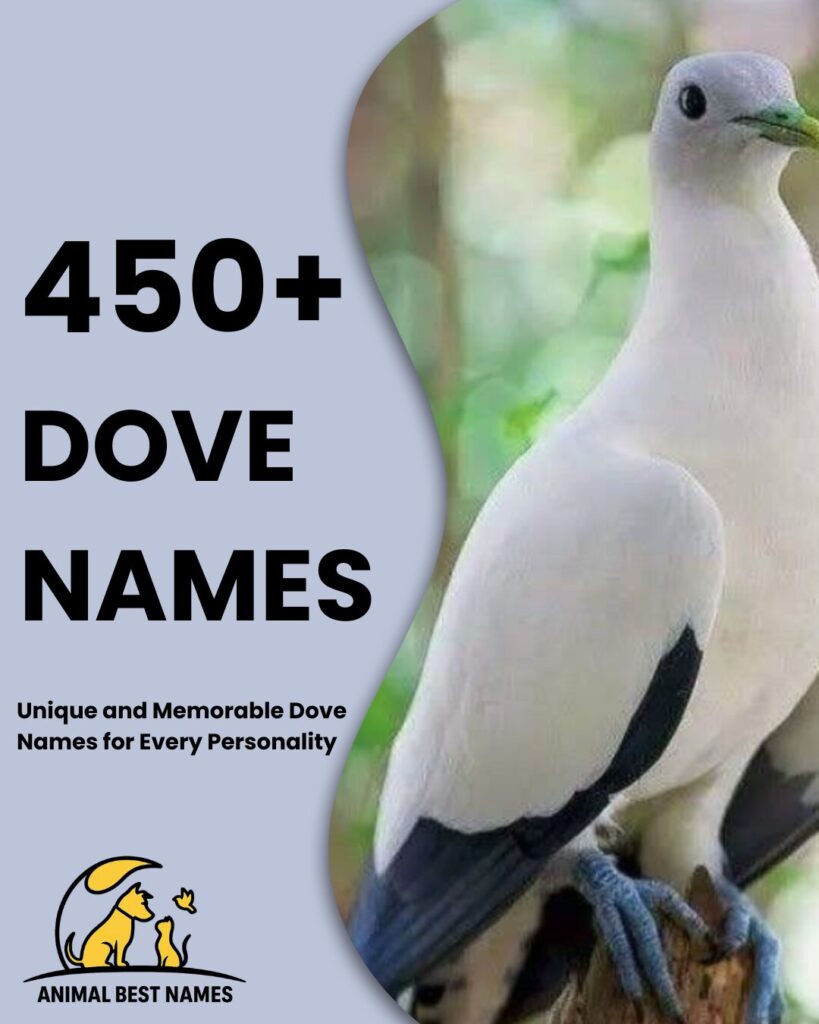 Dove names image showing doves with graceful wings, soft feathers, and peaceful poses.