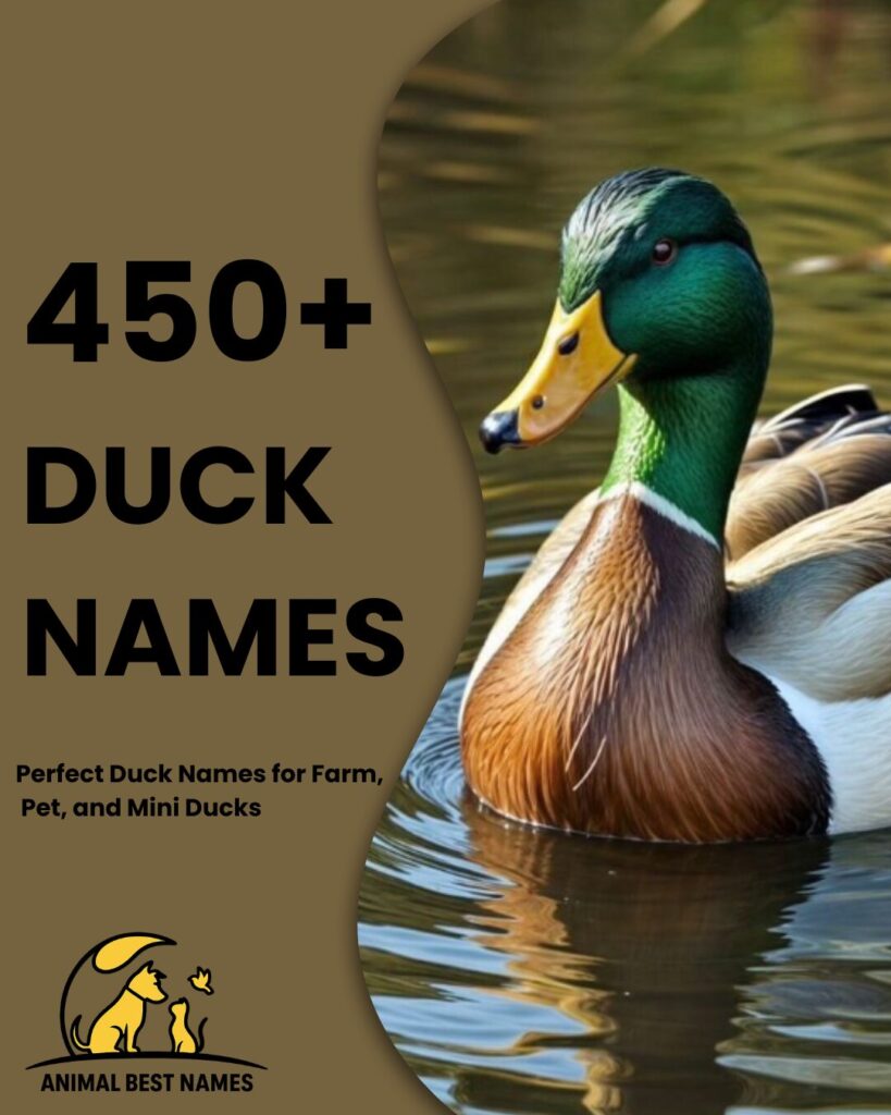 Cartoon duck with a bright yellow body, orange beak, and webbed feet, swimming in a pond with lily pads and a few butterflies around.