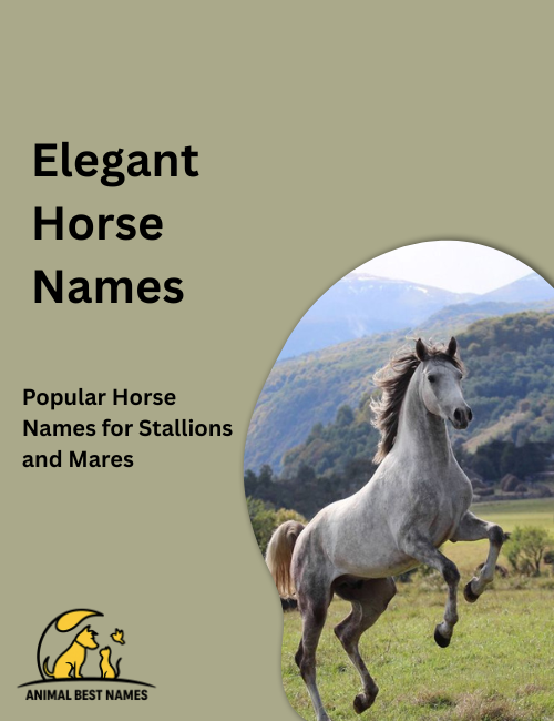 Elegant horse with a long flowing mane and poised stance, standing in a serene open field with soft sunlight.