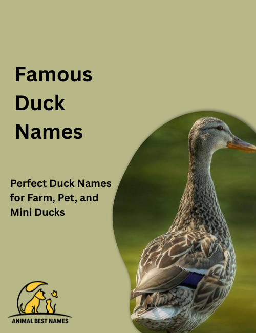 Famous duck names image showcasing ducks with recognizable features, iconic appearances, and memorable charm.