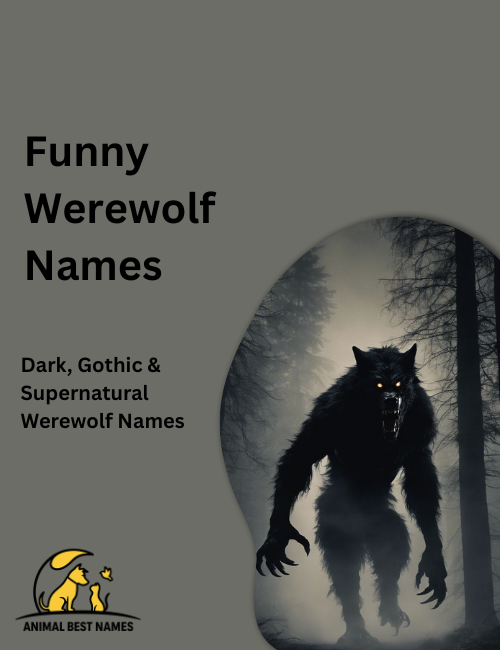 Cartoon-style werewolf with a silly grin, big eyes, and fluffy fur, standing playfully under a bright moon in a forest.