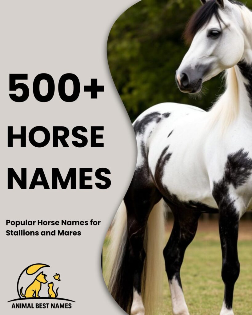 Beautiful horse standing gracefully in a sunlit meadow with flowing mane and gentle eyes.