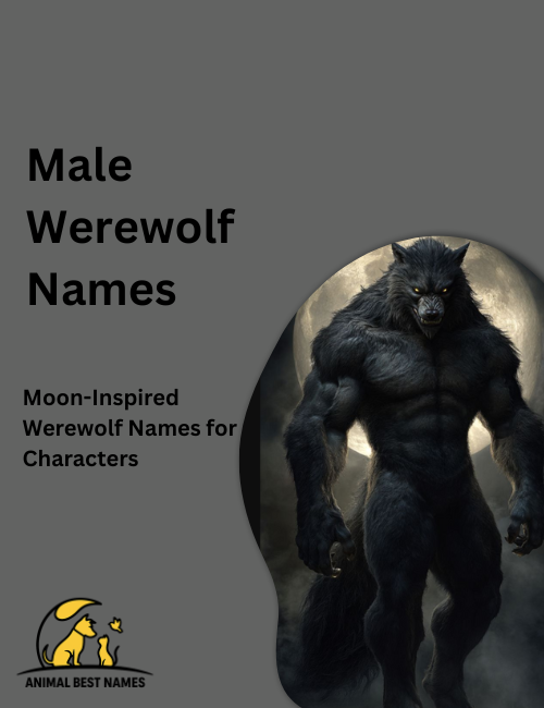 Powerful male werewolf with a muscular body, glowing eyes, and thick fur, standing under a full moon in a dark forest.