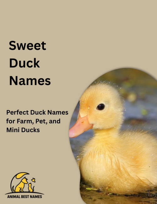 Sweet duck names image showcasing ducks with gentle expressions, soft feathers, and charming demeanor.