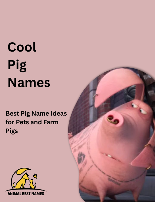 Stylish pig with smooth pink skin and confident stance, standing in a sunlit farmyard with a relaxed expression.