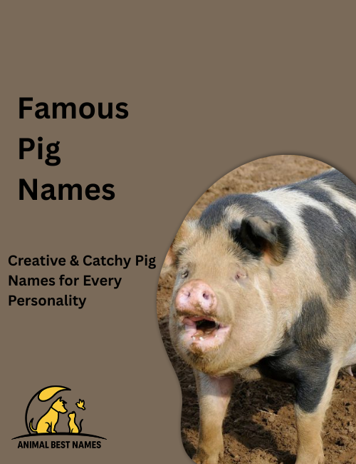 Recognizable pig characters with distinct styles and expressions, standing together in a bright illustrated setting.
